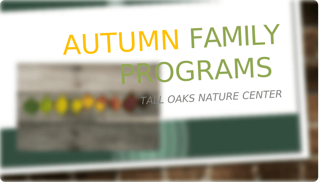 Autumn Family Programs_dzob8nntz1w_page1