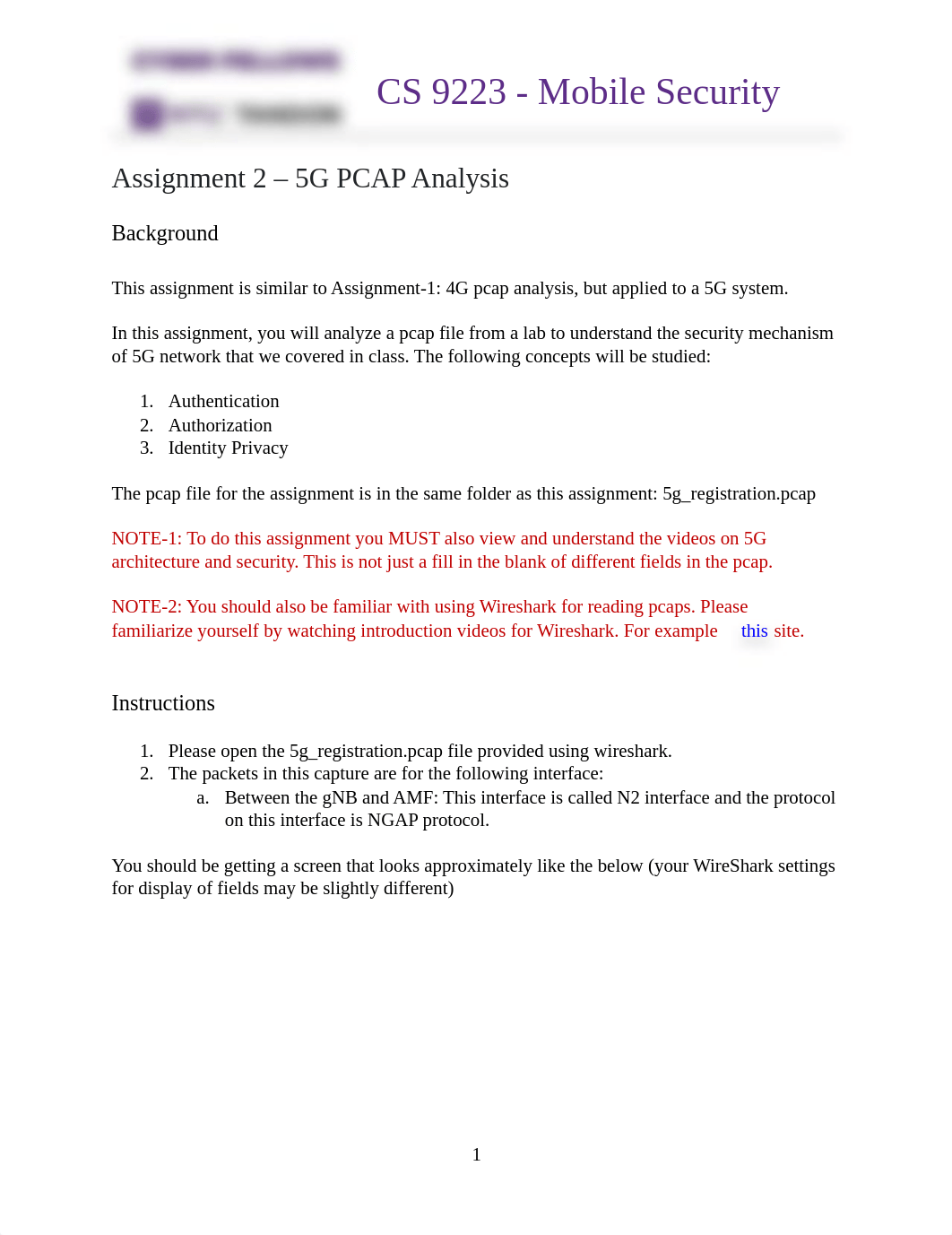 Assignment 2 5G PCAP Analysis v0.1.pdf_dzooeteeg8z_page1