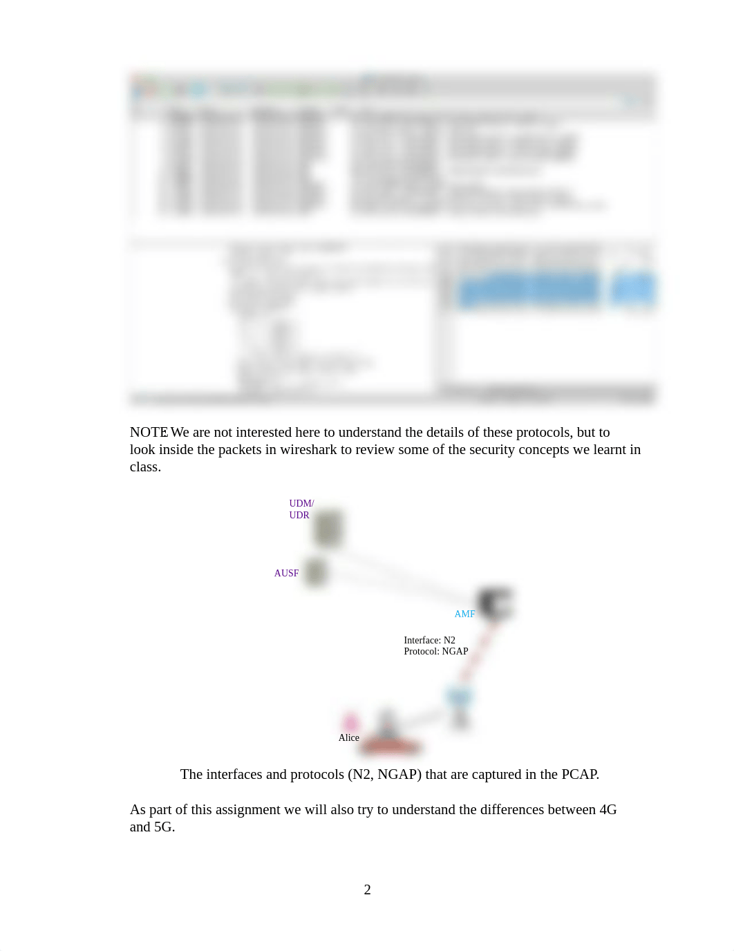 Assignment 2 5G PCAP Analysis v0.1.pdf_dzooeteeg8z_page2