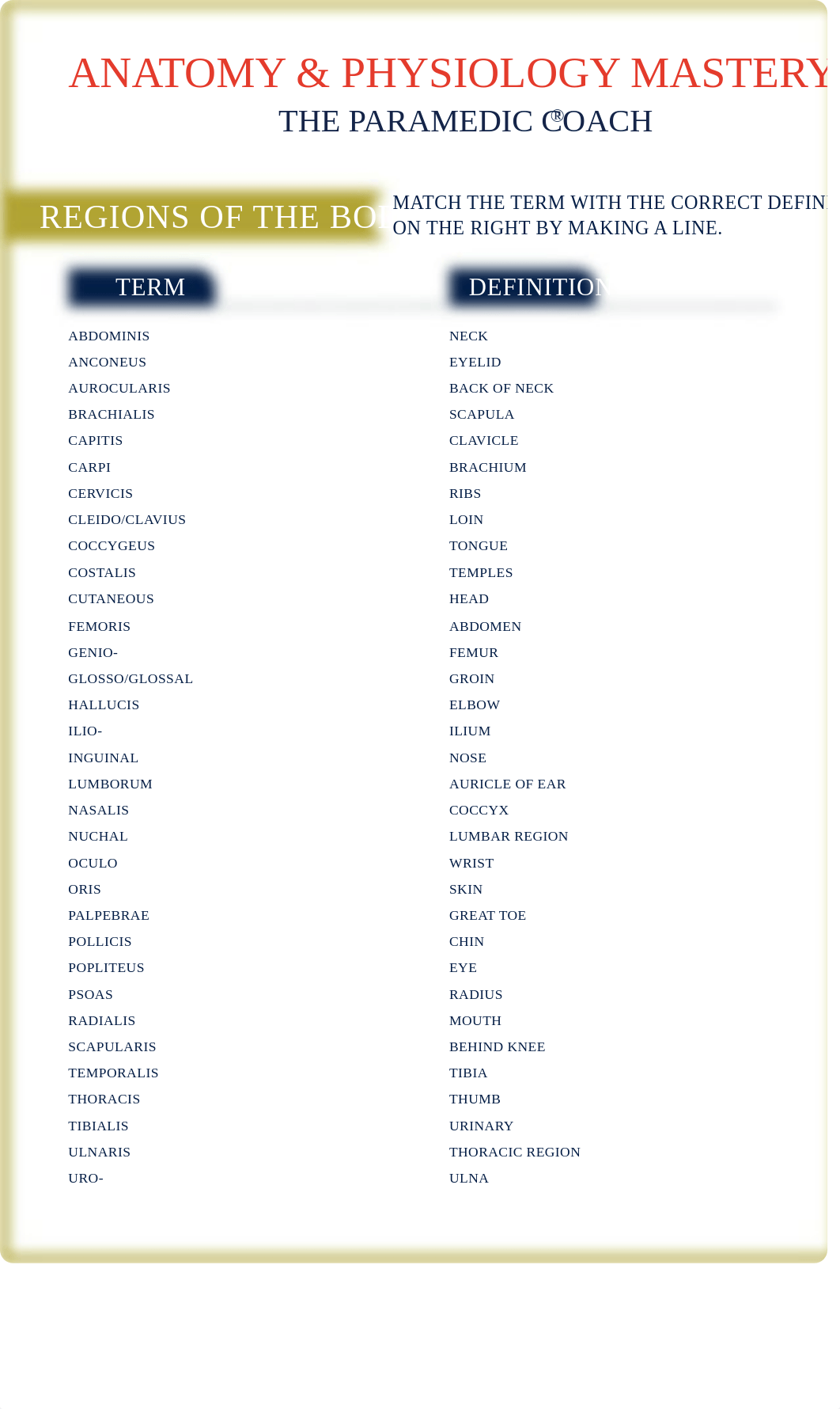 ParamedicCoach_Medical-Terminology_WKST.pdf_dzoon23r0zx_page2