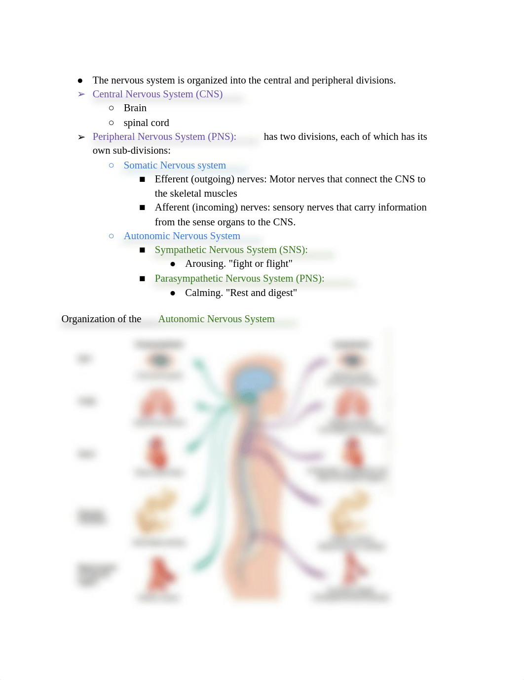 The Neuroscience of  Psychiatric Disease NEUR1202_NOTES.pdf_dzoq266qm7n_page4