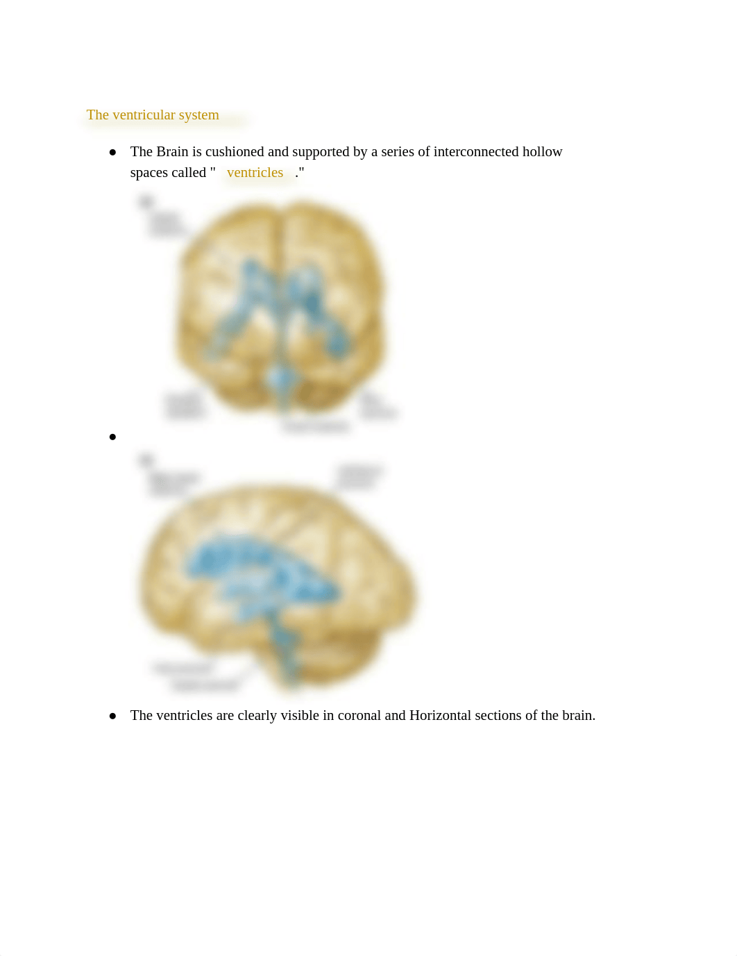 The Neuroscience of  Psychiatric Disease NEUR1202_NOTES.pdf_dzoq266qm7n_page5