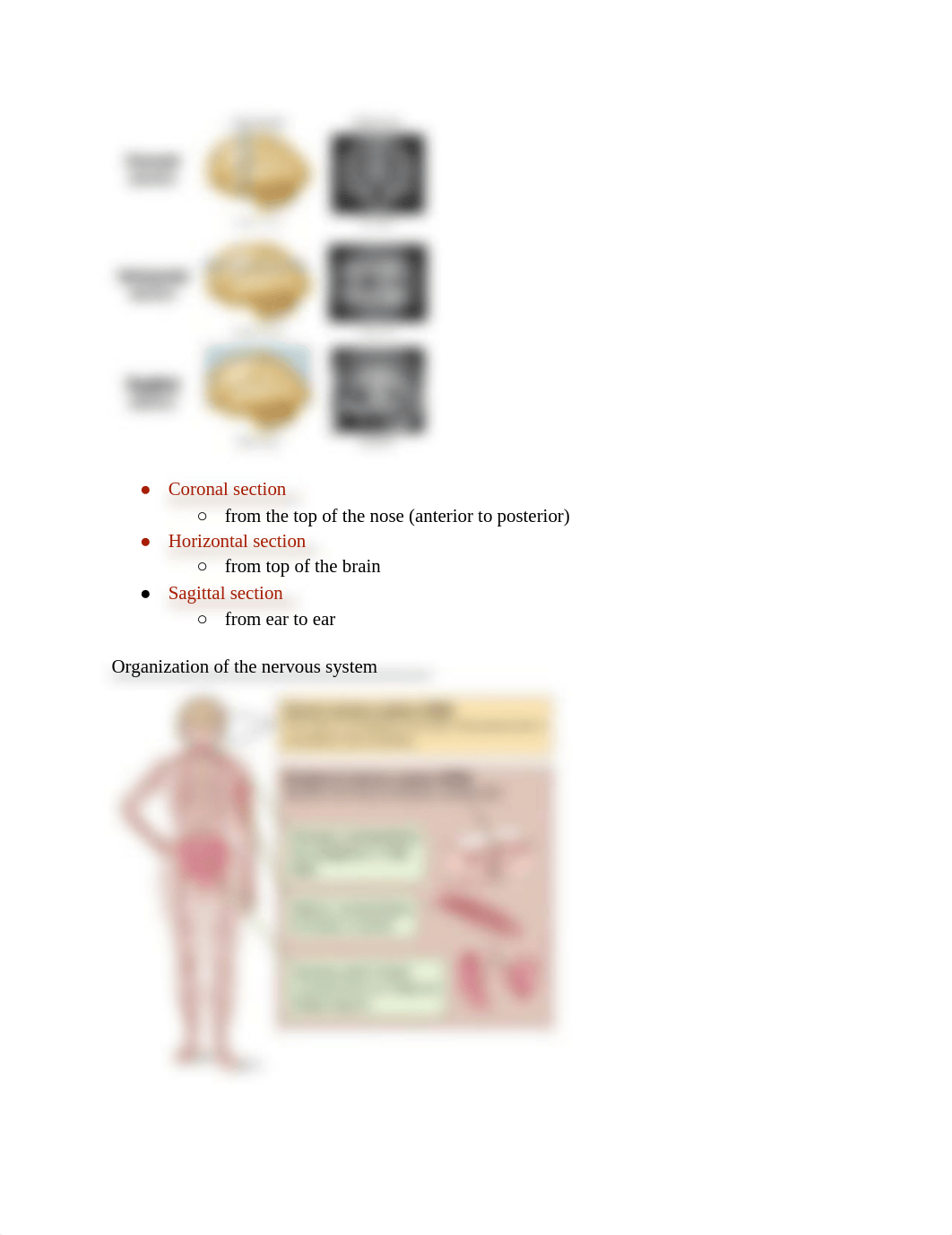 The Neuroscience of  Psychiatric Disease NEUR1202_NOTES.pdf_dzoq266qm7n_page3