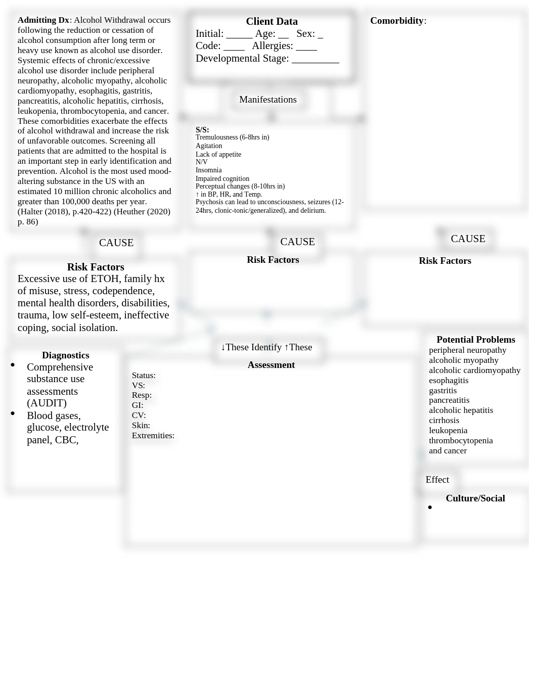 Alcohol Withdrawal Concept Map.docx_dzordy898r2_page1