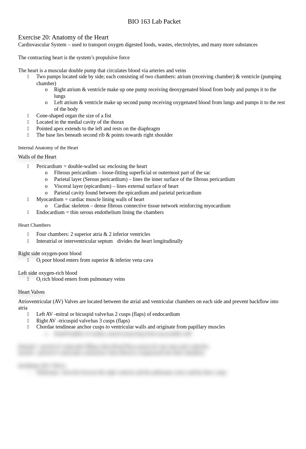 Lab Ex 20 Anatomy of the Heart (updated).docx_dzoy5cfznqu_page1