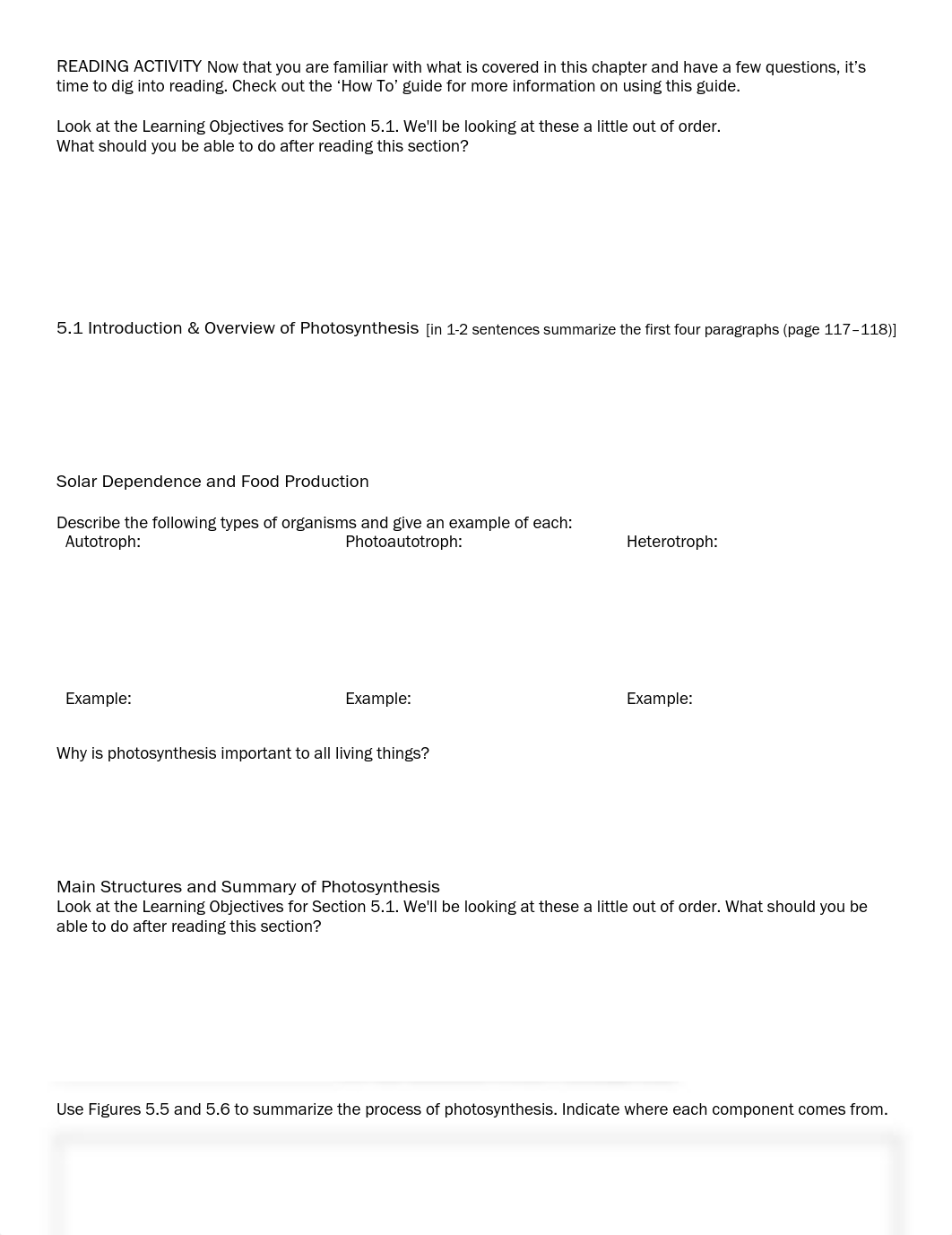 OpenStax Concepts of Biology Chapter 5 Reading Guide and Activity.pdf_dzp6te7z943_page3