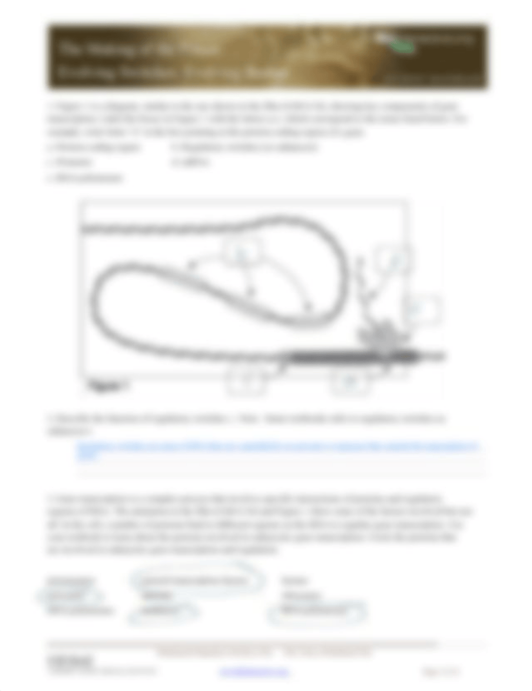 Stickleback_Gene_Switches_-_Student.pdf_dzpbppvchxx_page2