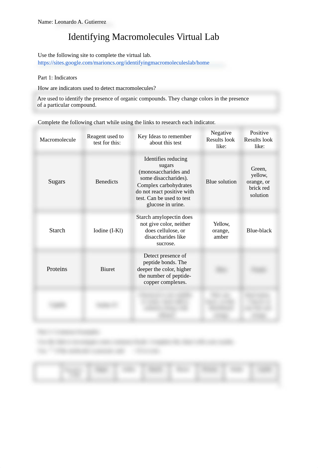 Identifying Macromolecules Lab - S.docx_dzpfvjey27a_page1