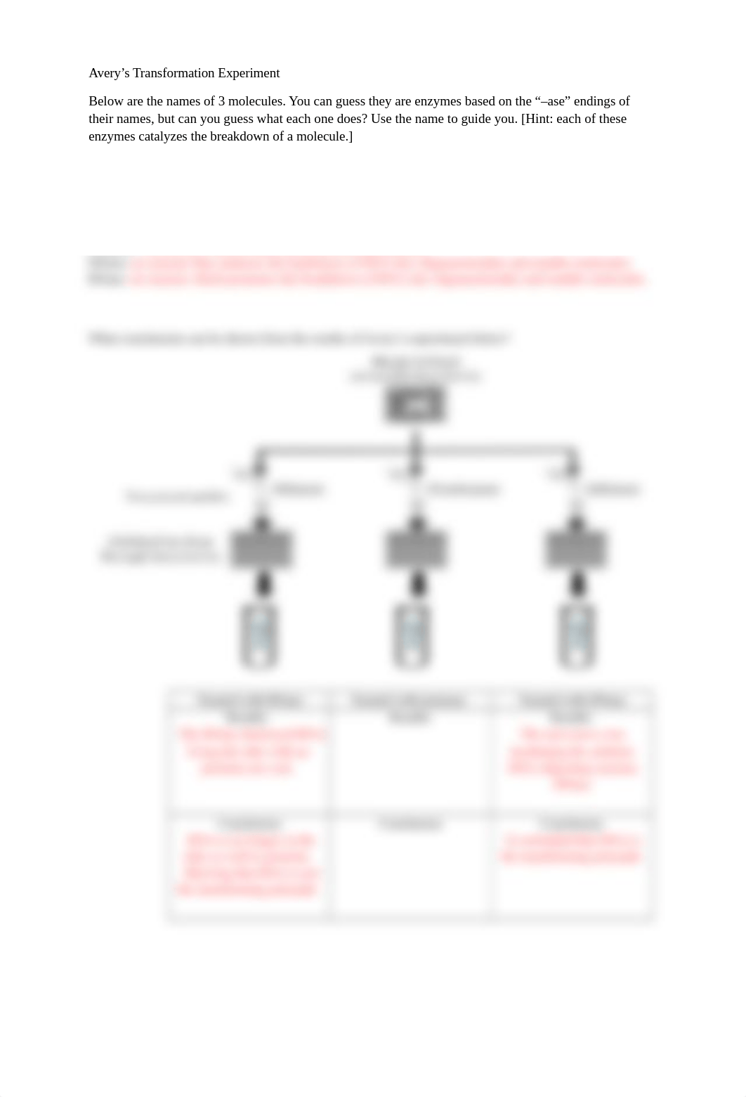 Classic Experiments in Molecular Biology Worksheet(1).docx_dzpk3vh53mw_page2