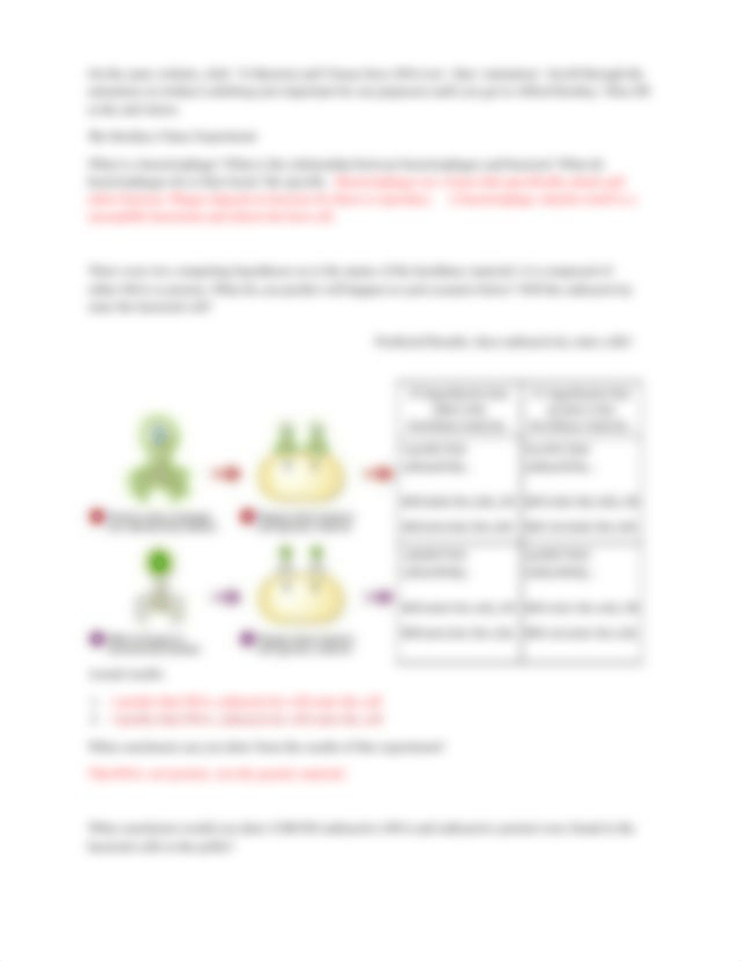 Classic Experiments in Molecular Biology Worksheet(1).docx_dzpk3vh53mw_page3