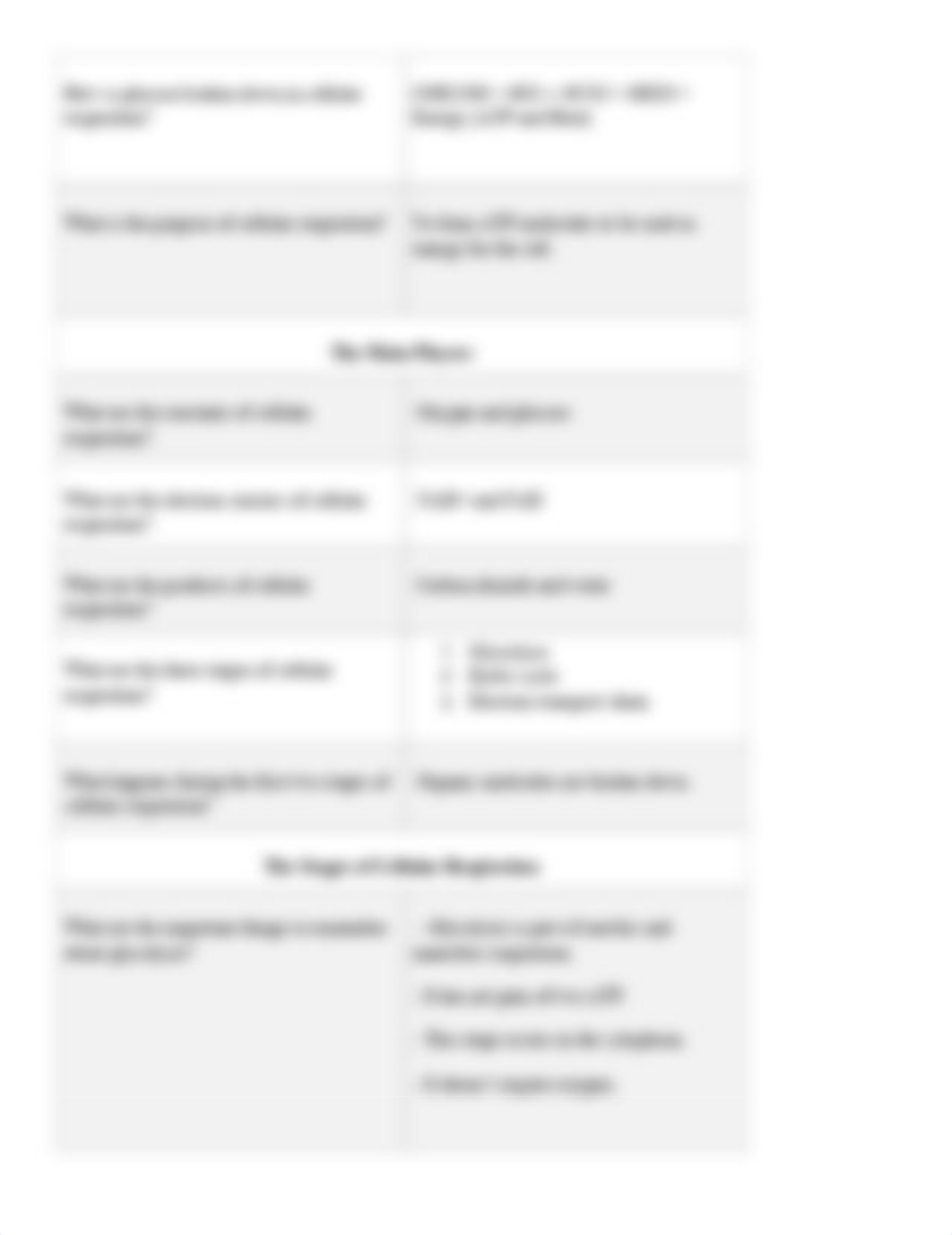 Liam's Biology Notebook_ 02.06 Cellular Respiration.pdf_dzpkdqx7j1q_page2