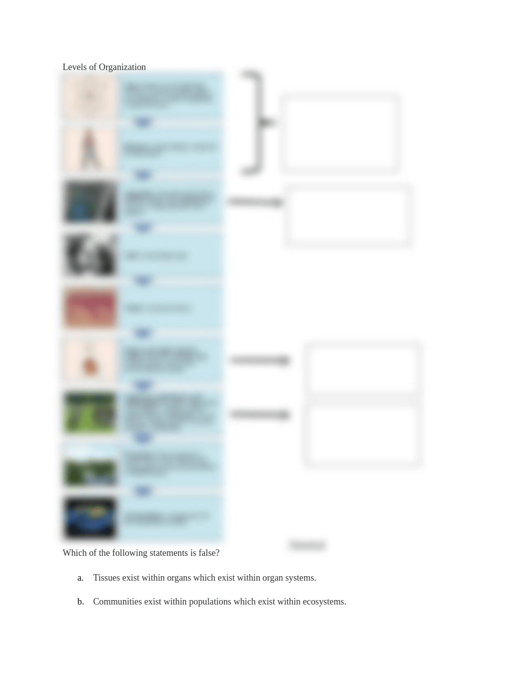 Bio opt homework #2.docx_dzpkfeoclo8_page1