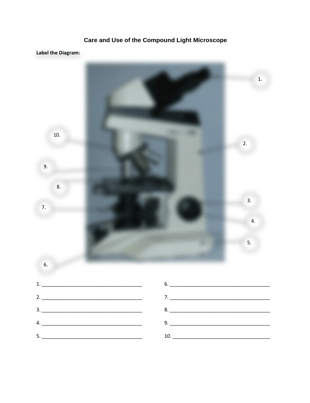 Ch 1 Microscope Lab_dzptcr86v9d_page1