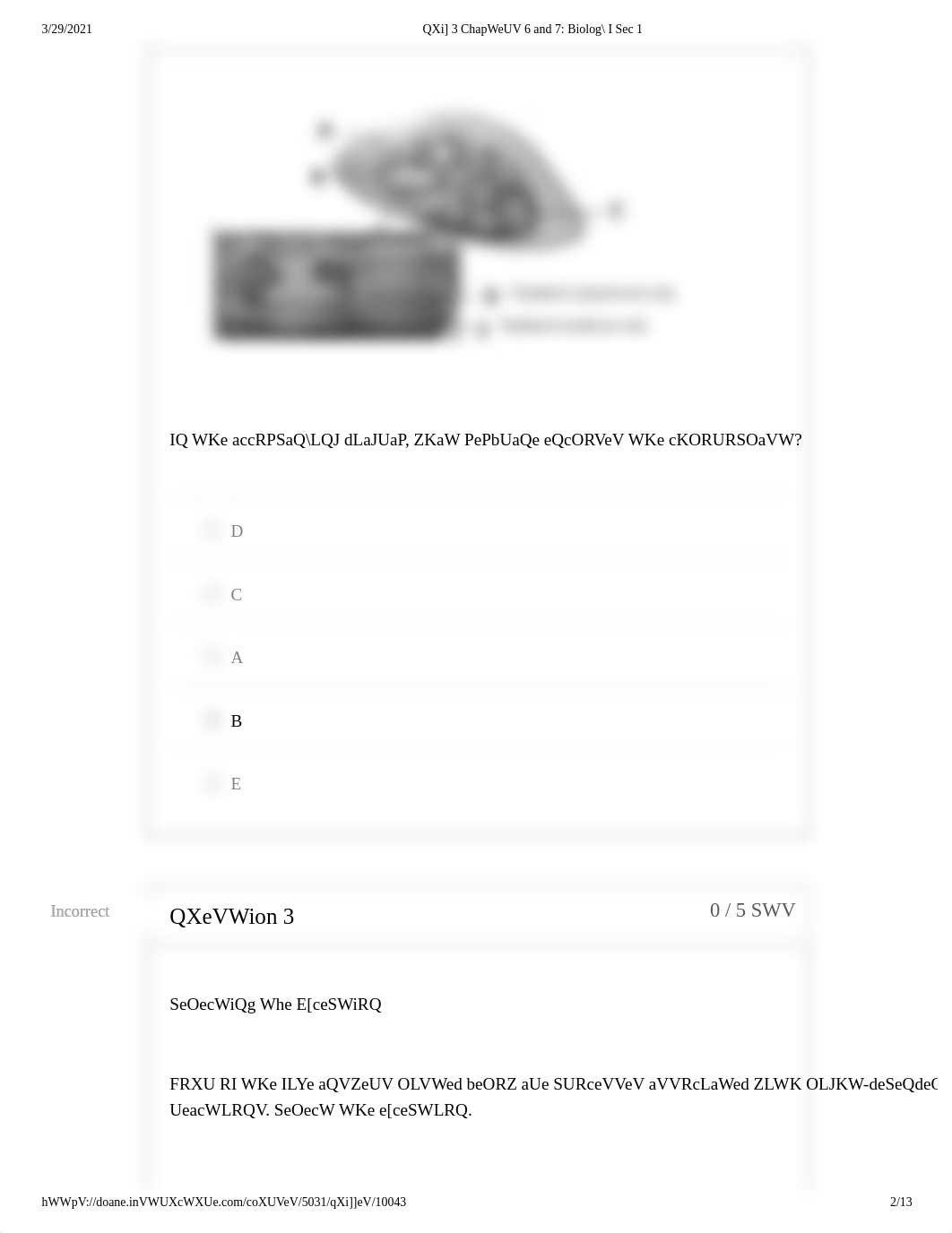 CH_BIO125_Quiz 3_Ch6-7_ Biology I Sec 1.pdf_dzpw4y0f5y2_page2