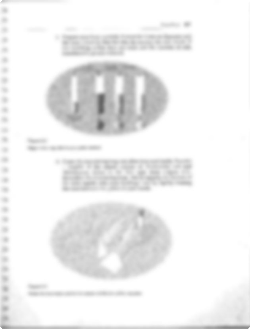 Pour Plate Lab (1).pdf_dzpyzbcl4ik_page3