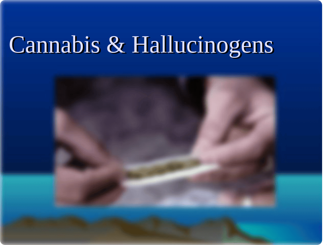 PY317 - 9 - Cannabis + Hallucinogens - Moodle-2_dzq3stk4358_page1