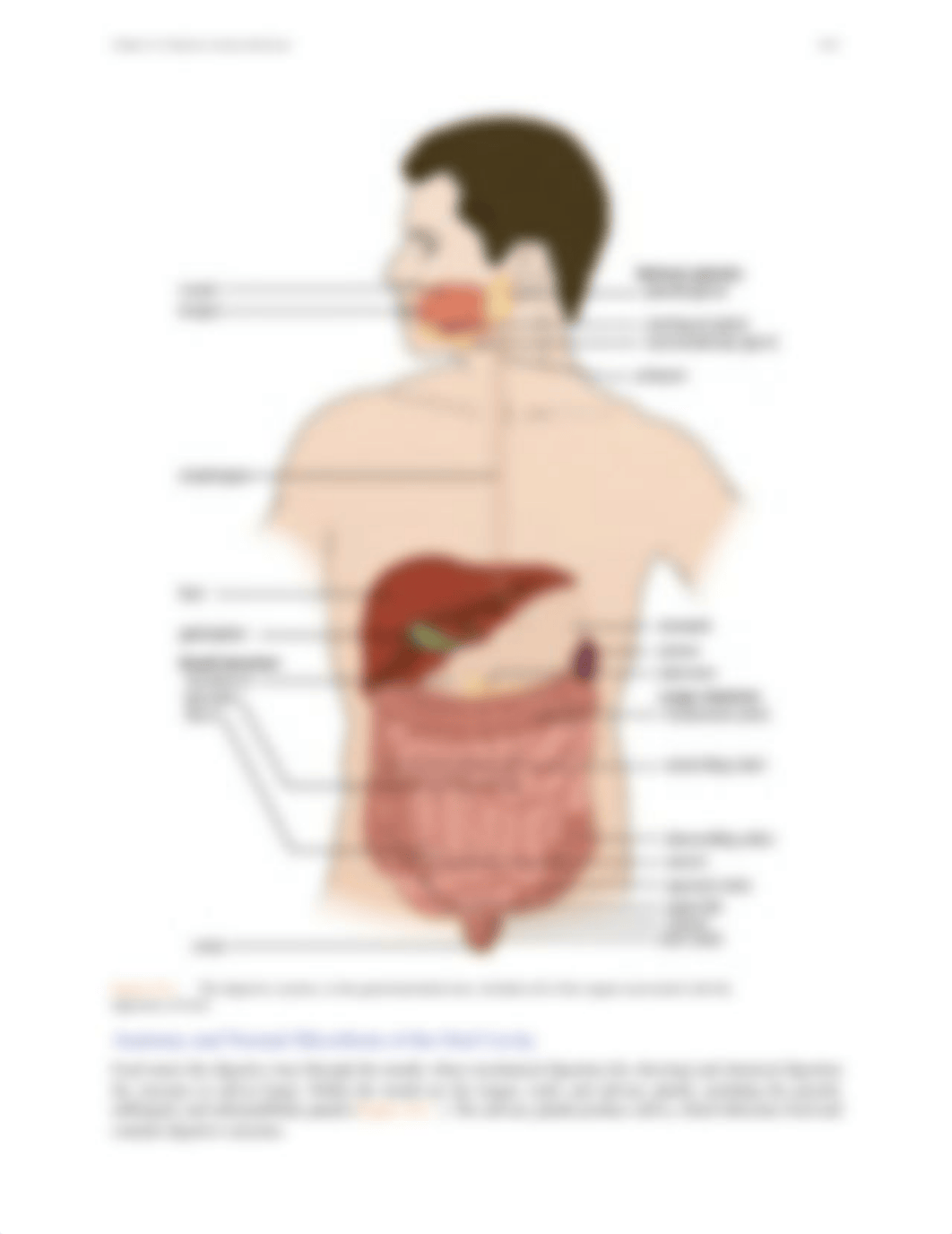 Chapter 15 Digestive System Infections.pdf_dzq4a0btd0r_page3