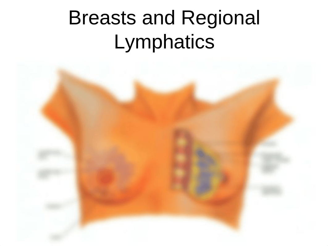 Chapter 13- The breast .ppt_dzq7cxw4va8_page3