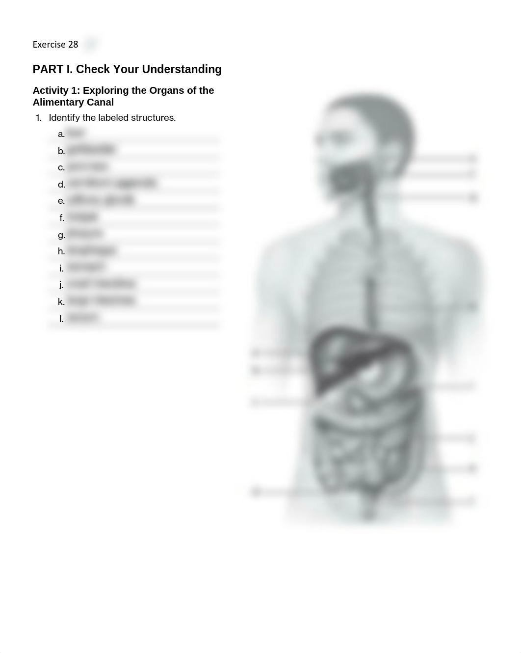 13. Unit 13 laboratory exercise 28 EDIT.pdf_dzqpn3aeoxk_page1