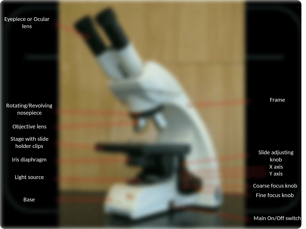 BIO 103 Complete Lab Atlas_dzqptw9ikgy_page2