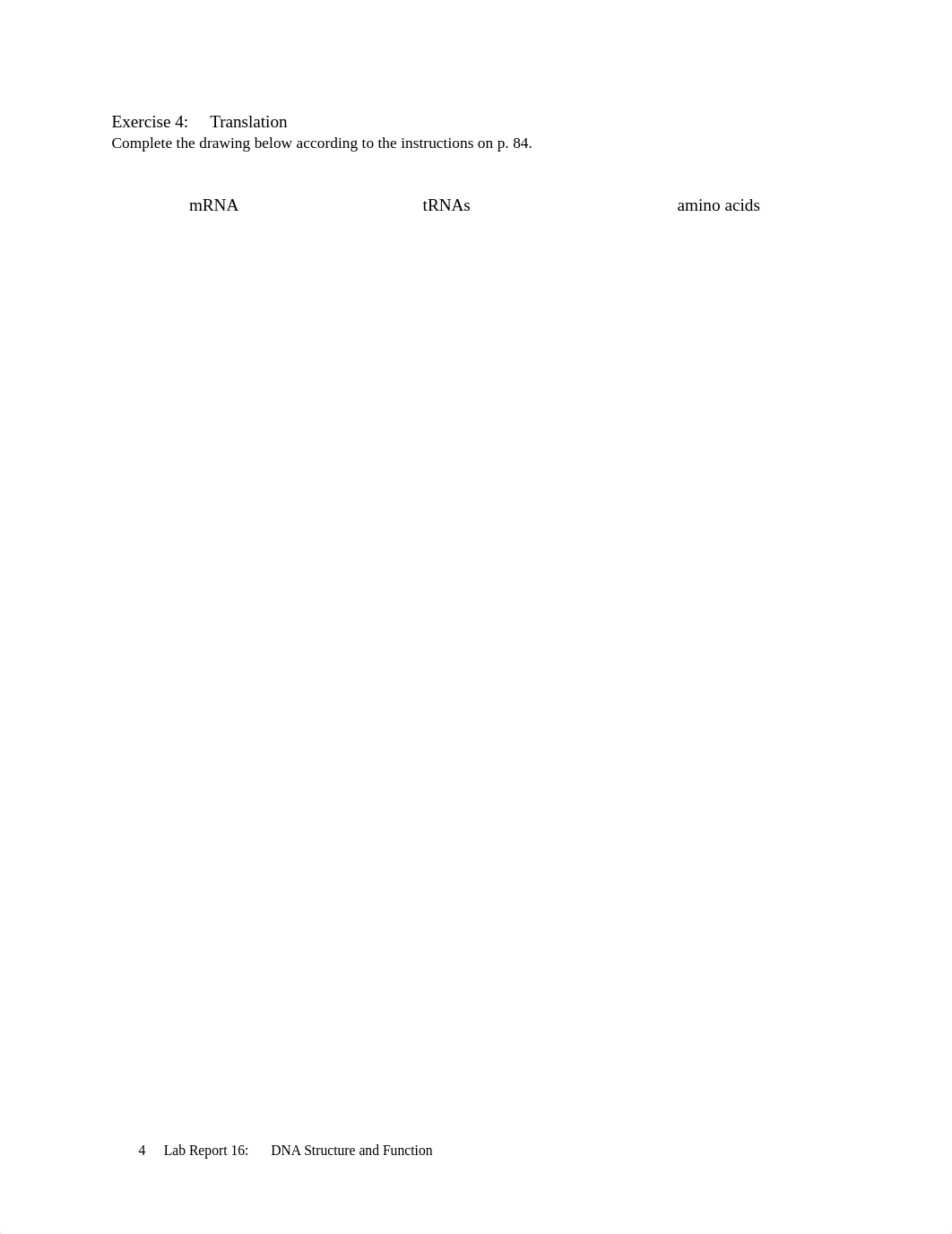 16b Lab Report 16 DNA Structure and Function.pdf_dzqri576lod_page4