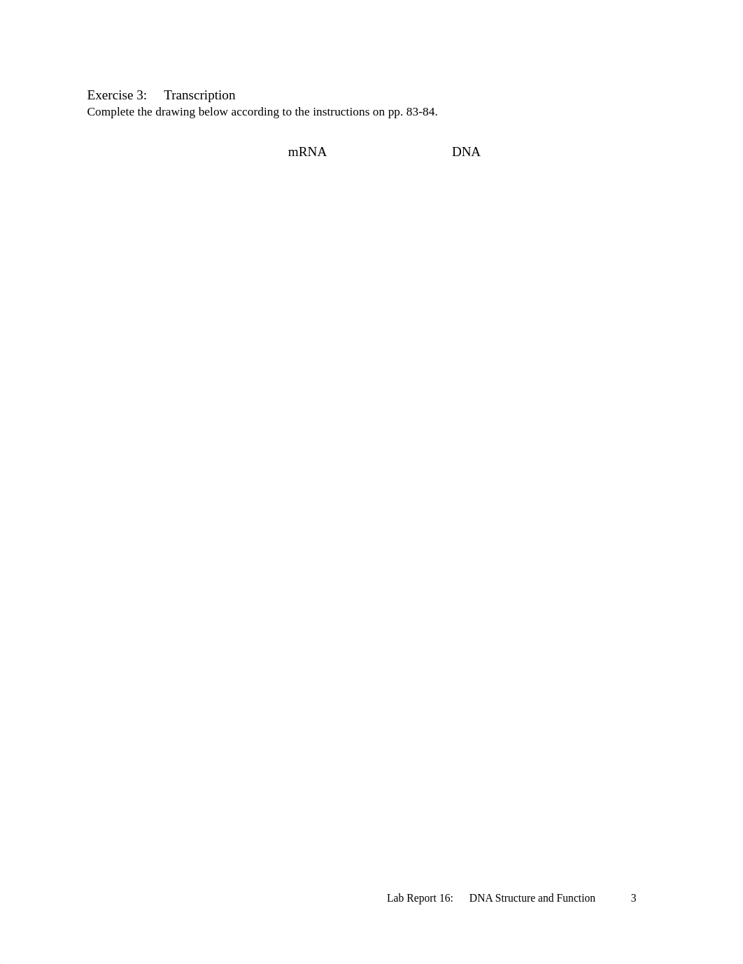 16b Lab Report 16 DNA Structure and Function.pdf_dzqri576lod_page3