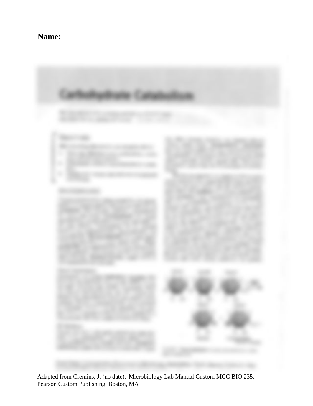 Carbohydrate Catabolism turnin .pdf_dzqzhqcx7ty_page1