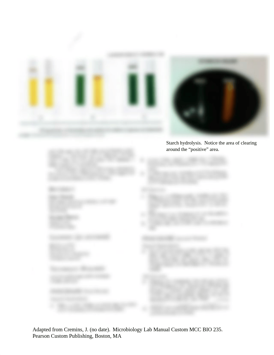 Carbohydrate Catabolism turnin .pdf_dzqzhqcx7ty_page2