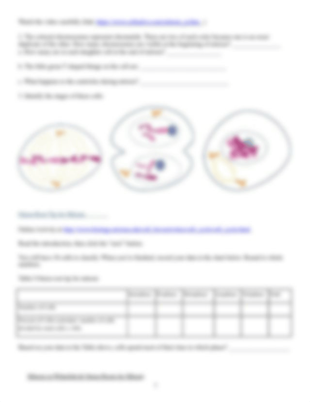 Lab 7 mitosis and meiosis report and rubric revised due date.docx_dzrcri7ly79_page2