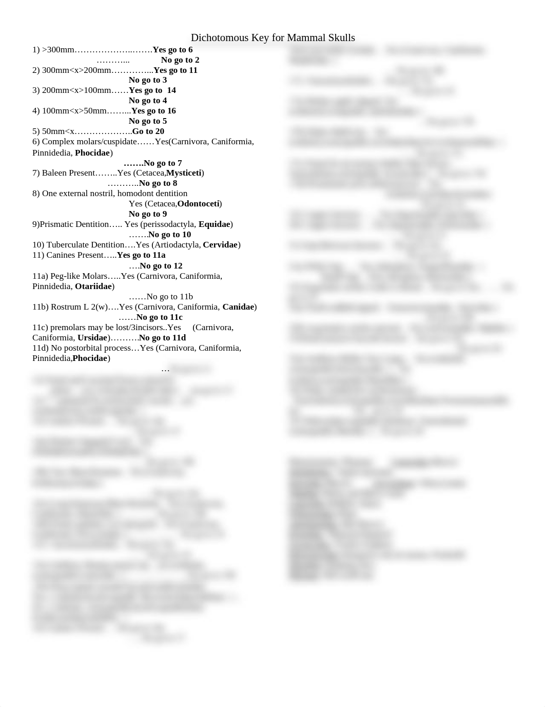 Dichotomous key for Mammal Skulls(updated)_dzrcykvfaad_page1