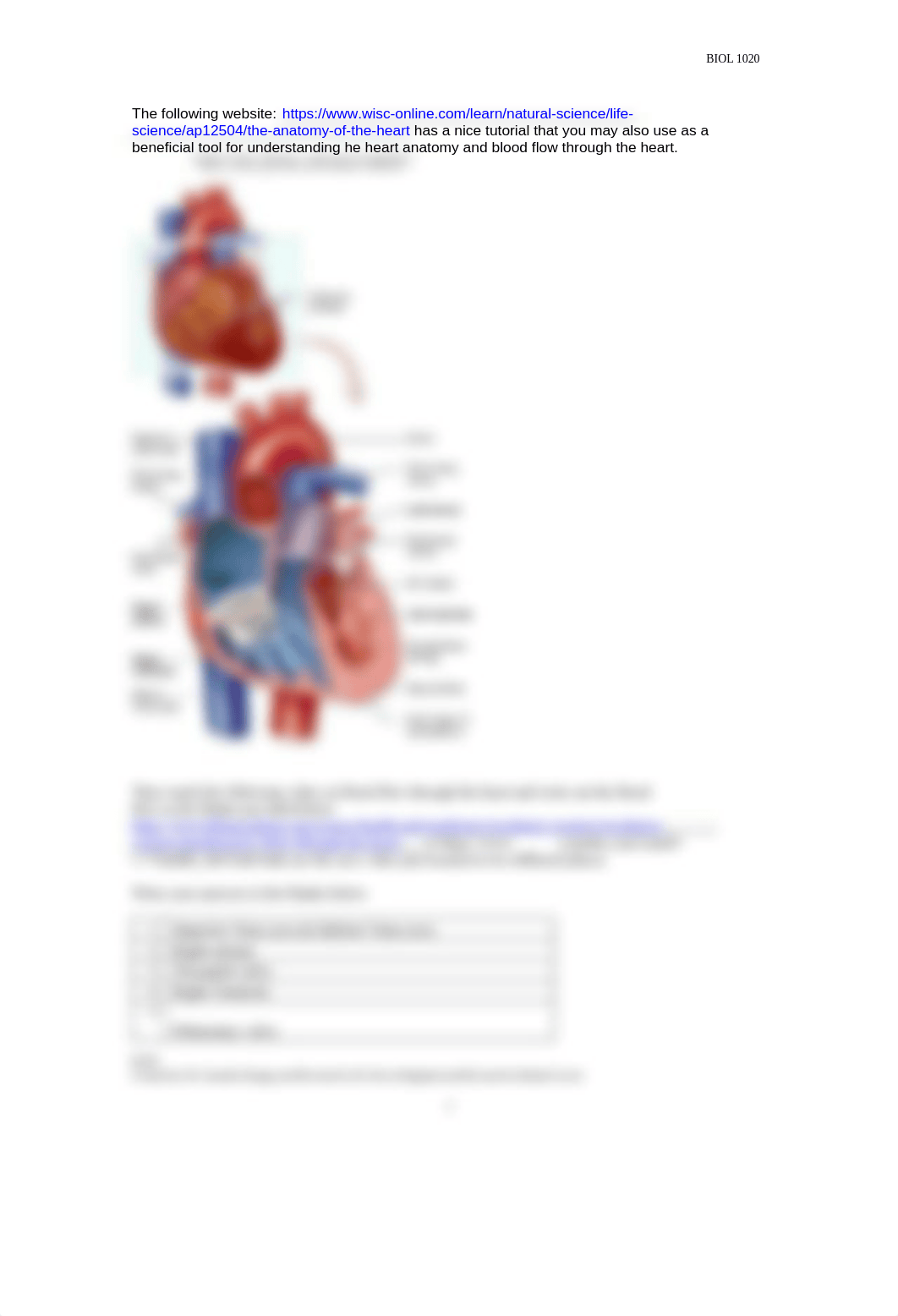 Circulatory Lab Report revised (1).docx_dzromr6rkse_page2