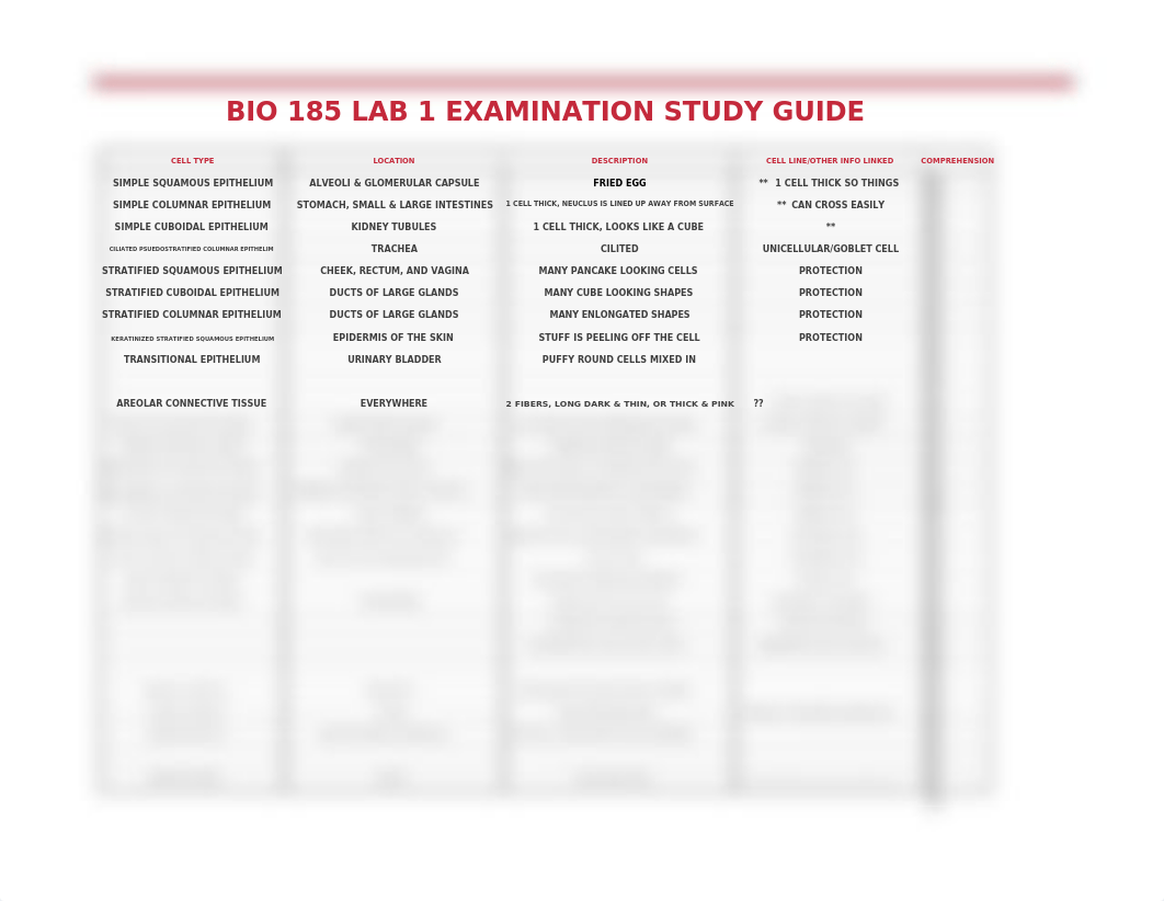 EXAMINATION 1 HISTOLOGY.xlsx_dzrwtb8oz49_page1