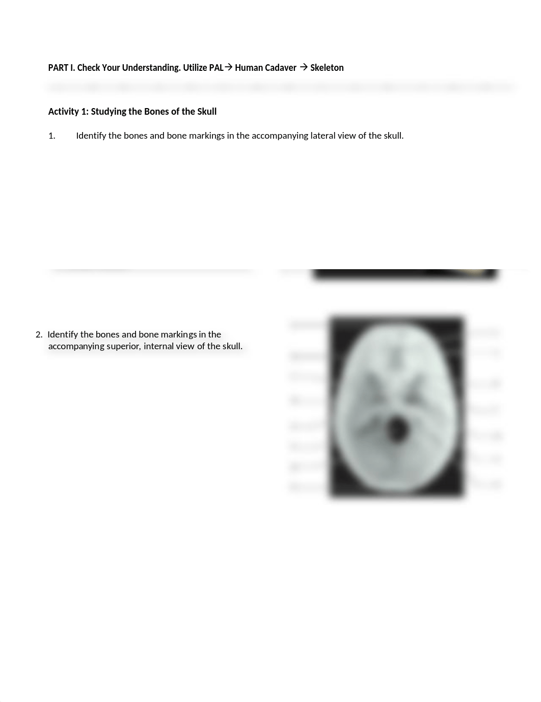 5. Unit 5 laboratory exercise 8, 9, & 10-1.docx_dzs049mcp6l_page3