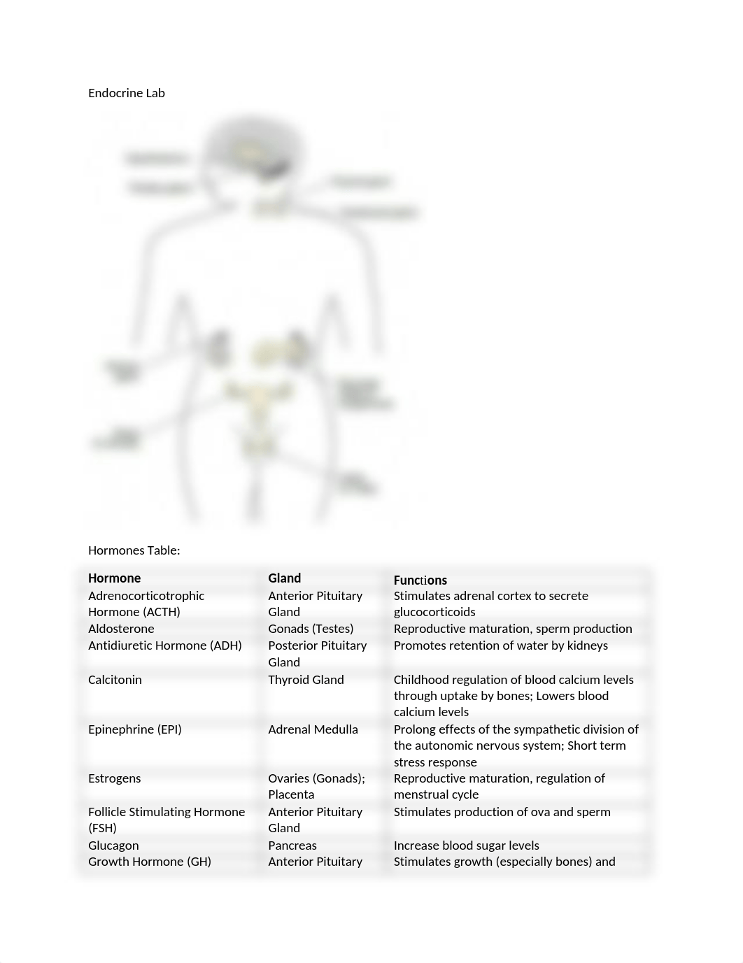 endocrine lab notes.docx_dzs9xoqb0lz_page1