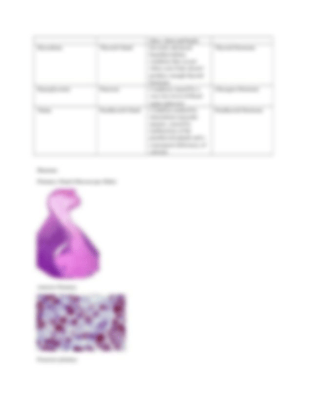 endocrine lab notes.docx_dzs9xoqb0lz_page3