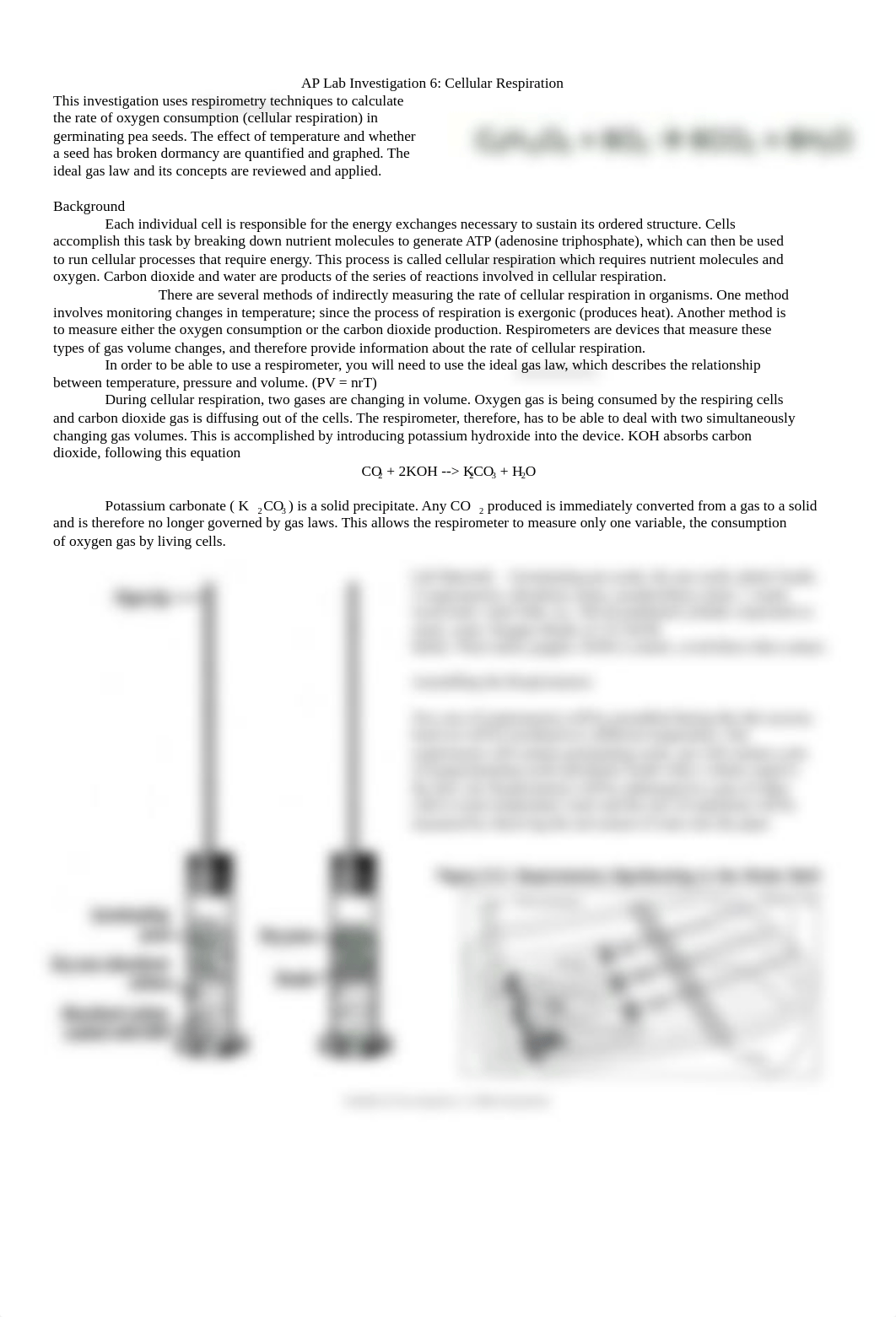 Copy of AP Bio Lab 6 Cell Respiration Modified Lab_Informal (2).pdf_dzsf055wfy0_page1