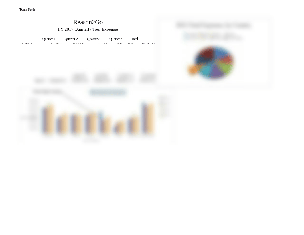 EX 4-R2G Quarterly Tour Expenses .xlsx_dzspsimgyxz_page1