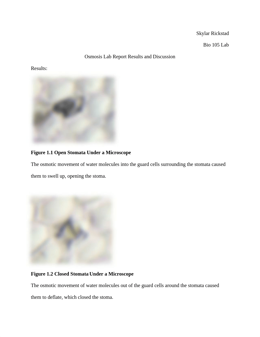 BIOLB- Osmosis Lab Report- Results and Discussion.docx_dzsr8znmg3g_page1