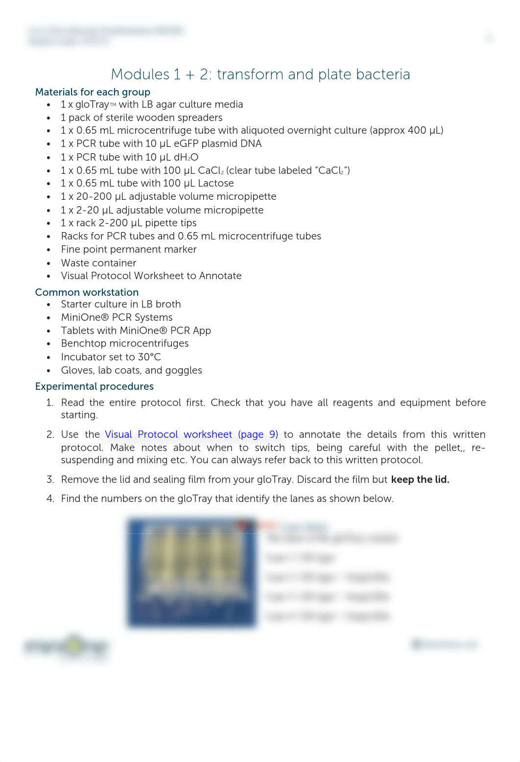 M6300-Let-it-Glow-Bacterial-Transformation-MiniLab-Student-Guide-070723_compressed.pdf_dzsymj2w9bo_page4