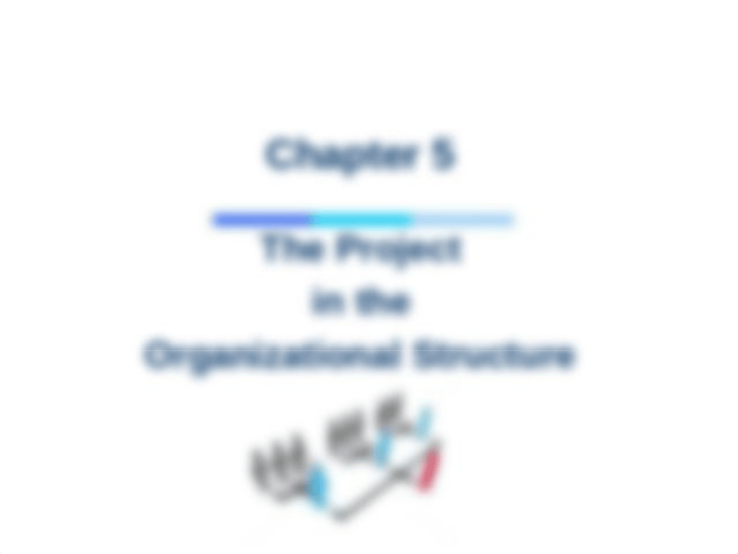 Ch05_The Project in the Organizational Structure.pdf_dzt4y0spfrq_page1