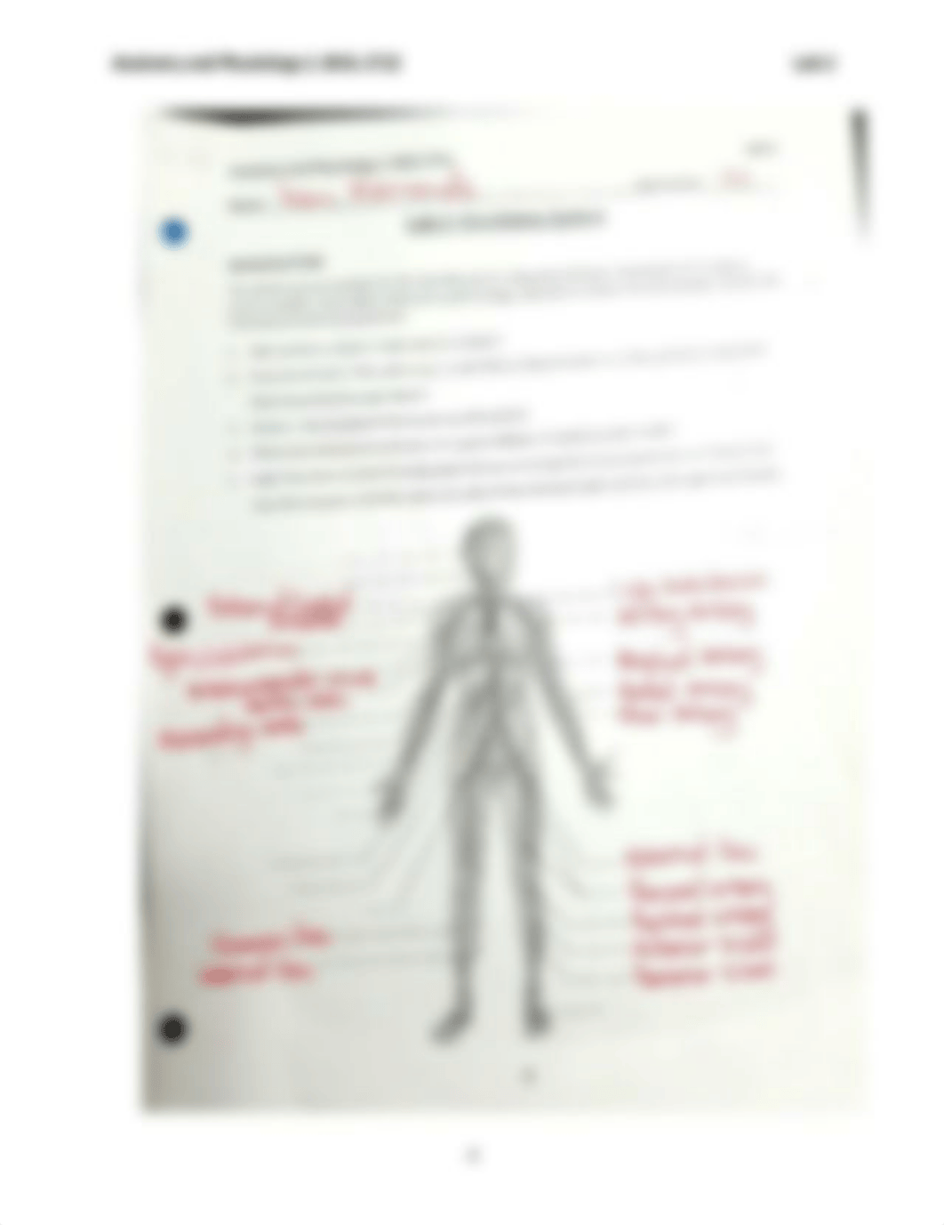 Lab 2 Circulation.docx_dzt83q67ya5_page2