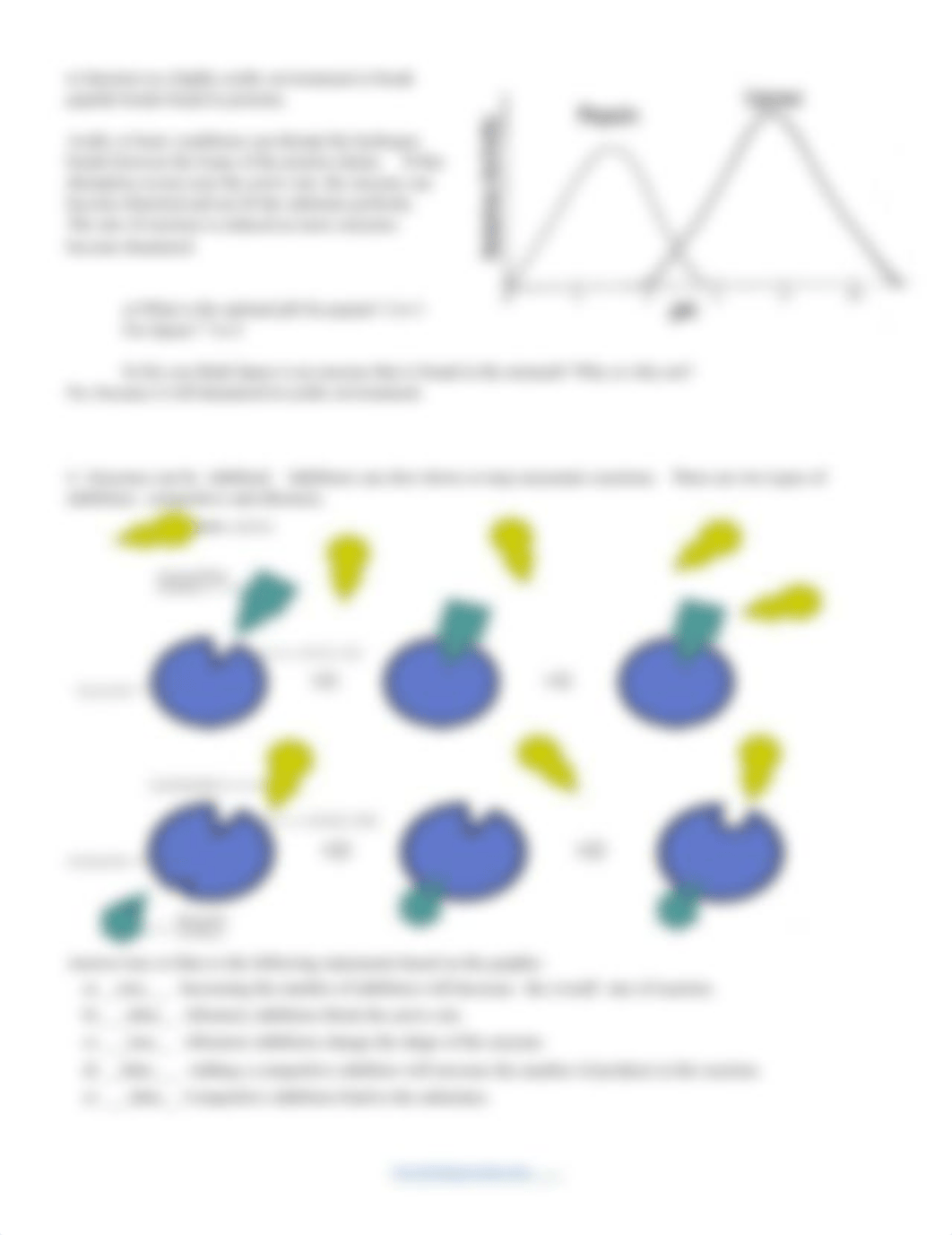 Analyzing Graphics_ Enzymes (1).docx_dztdzmdiy17_page2