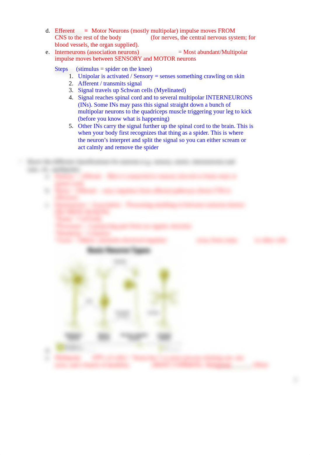 Need to Know for Test 2 BL112-1 copy.docx_dztf5wft4o9_page2