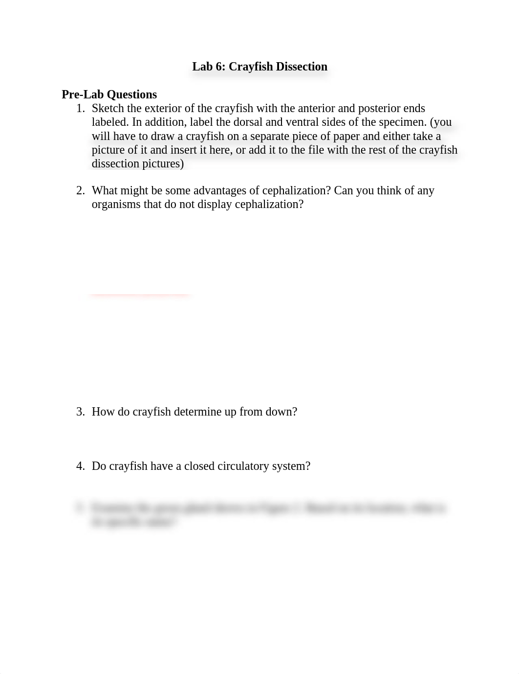 Lab 6 Crayfish Dissection Questions.docx_dzthsr3hbdo_page1