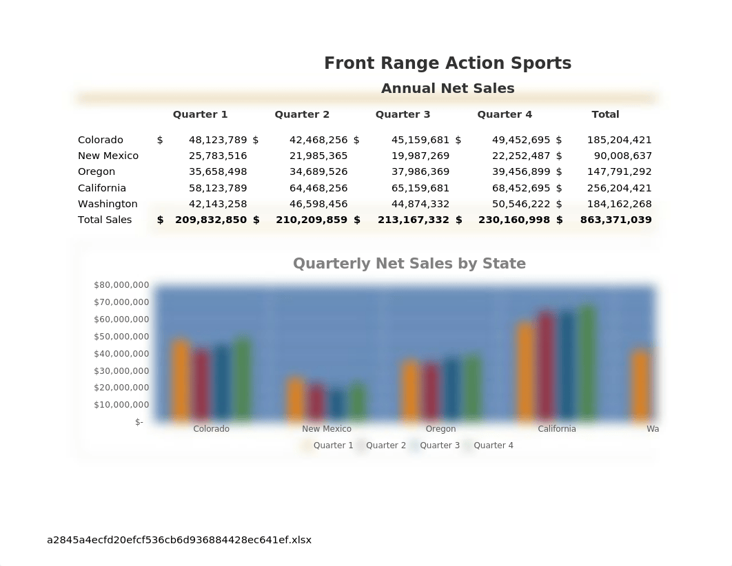 _Slaton_Excel_Intro_Cap1_Year_End_Report.xlsx_dzthvzkcxd5_page1