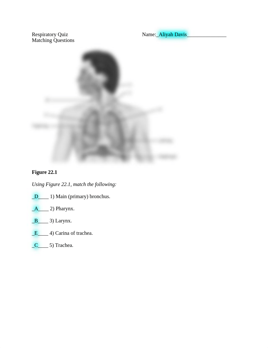 Respiratory Quiz #2 A&P_dztmyh3u4rk_page1