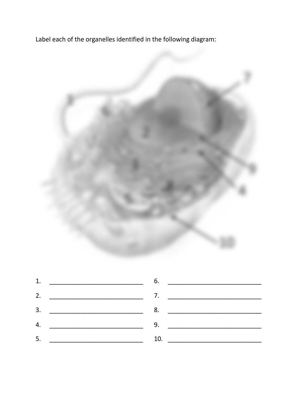 Activity-Organelles.pdf_dztqnfunm2y_page2