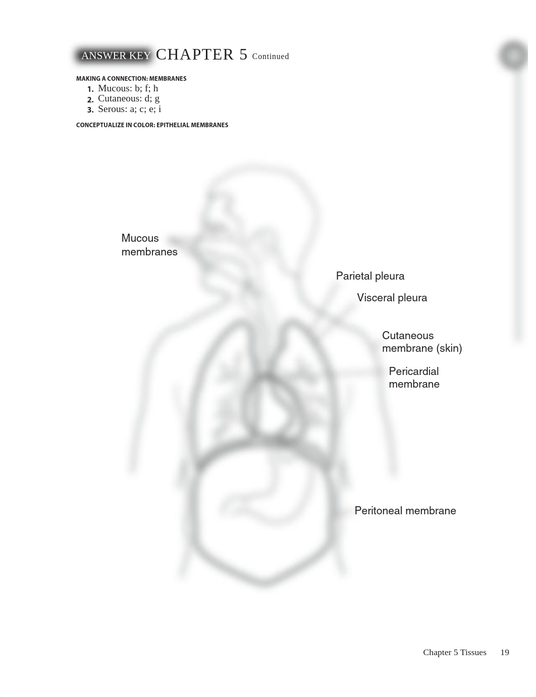 Ch05.pdf_dzttelelb49_page3