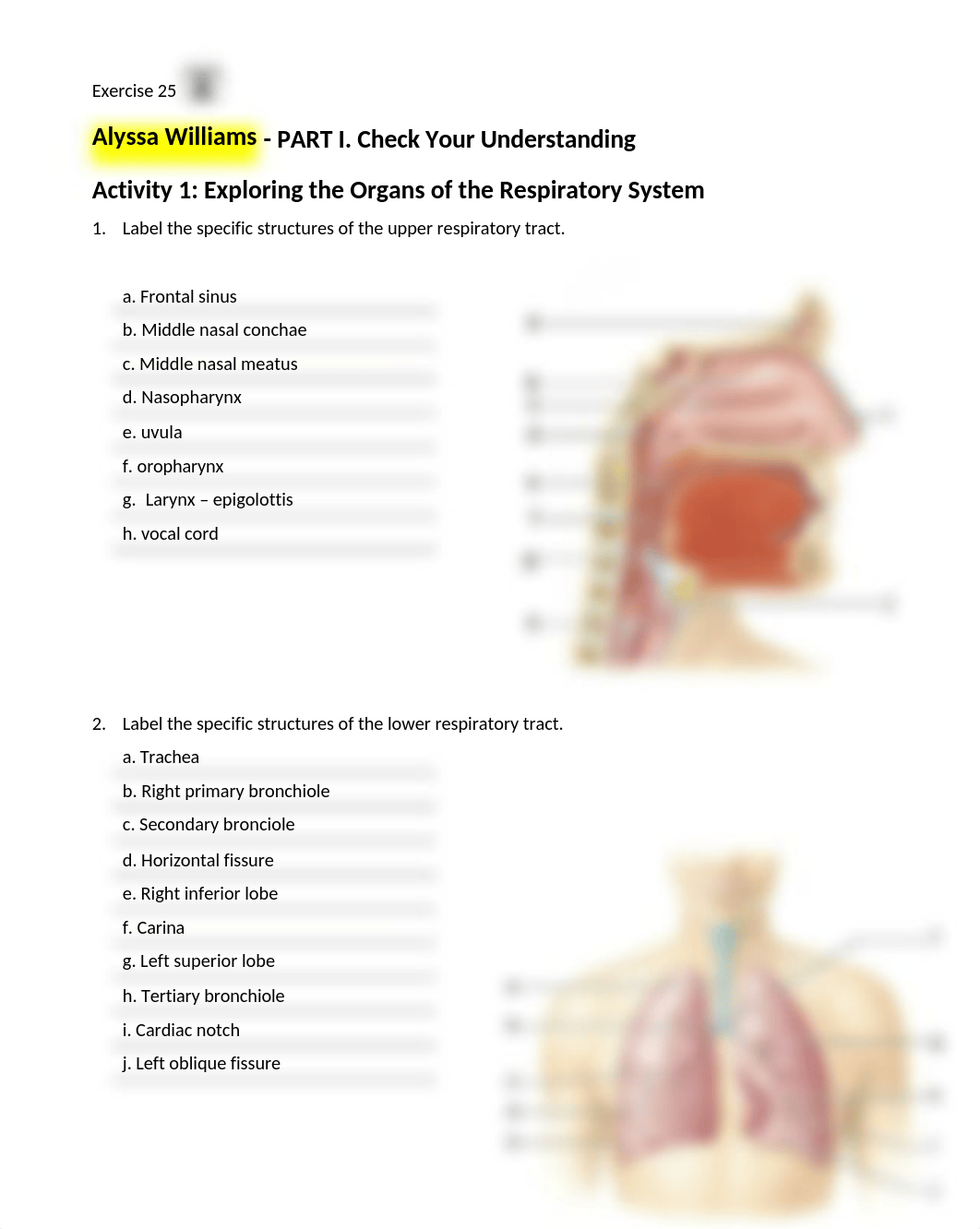 12. Unit 12 laboratory exercise 25.docx_dztto4kjklk_page1