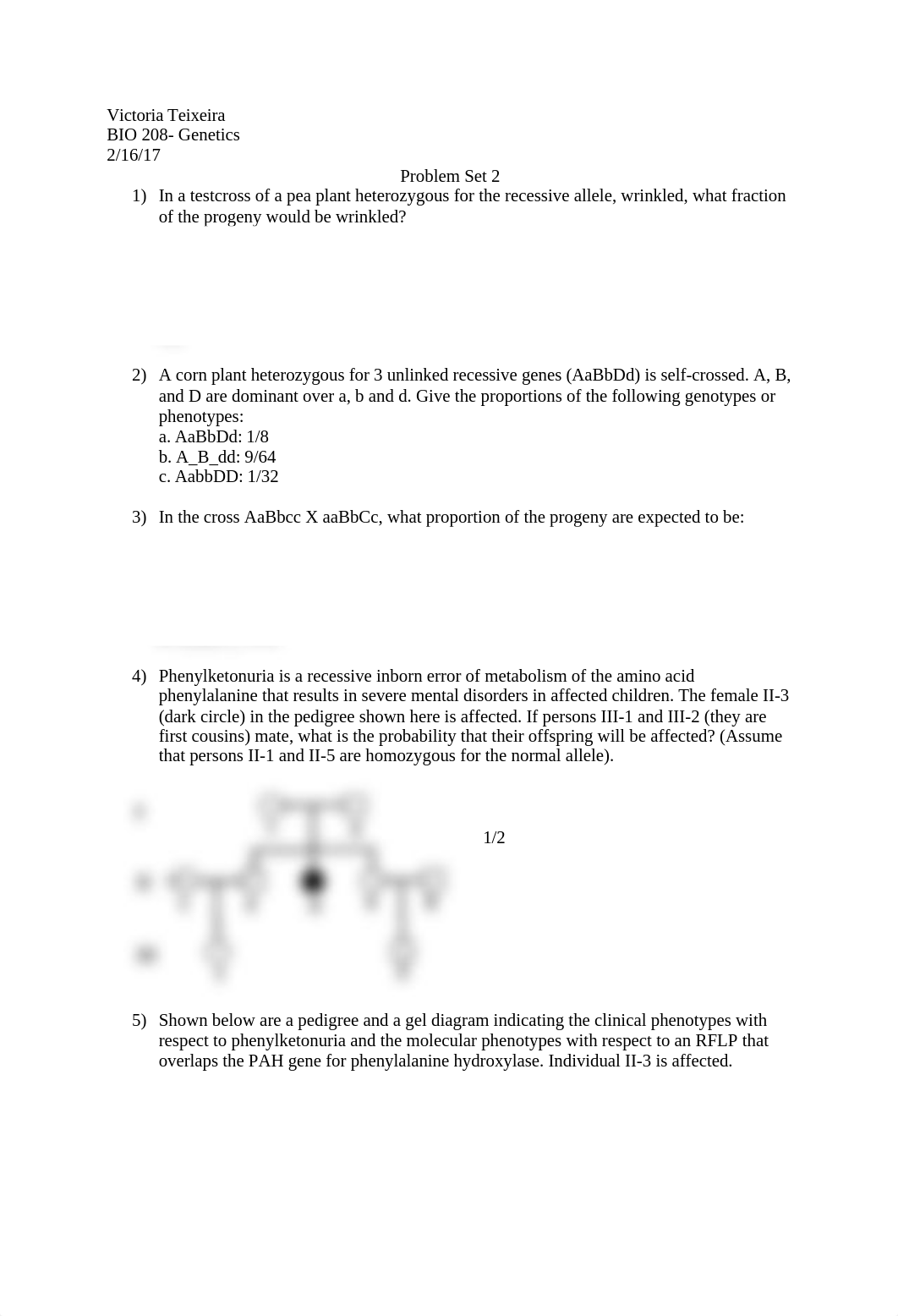 Problem set 2_dztuborzj6l_page1